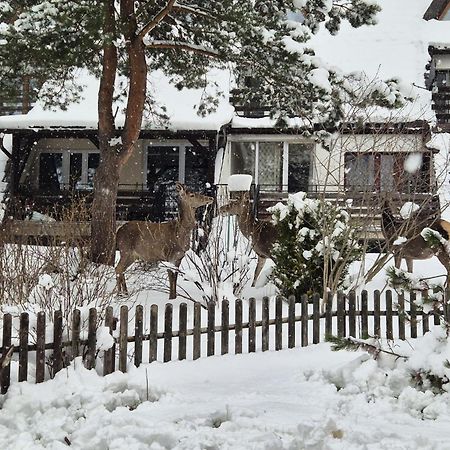 Apartament Wokol Stolu Zakopane Kültér fotó